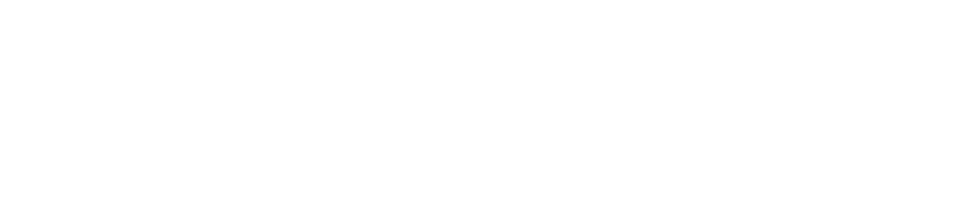 CredsNow logo in white